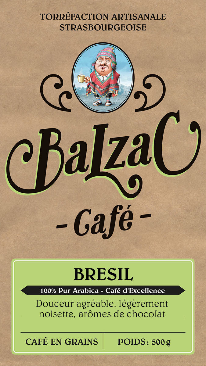 Brésil Nature Rainforest – Image 3