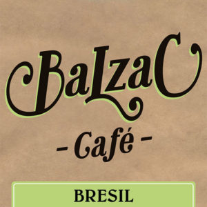 Brésil Nature Rainforest